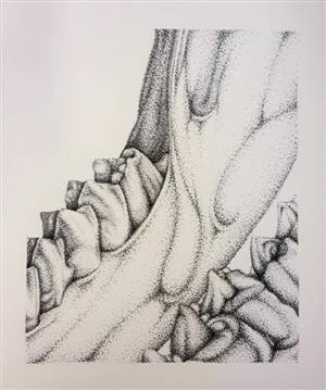 Mariluz teeth 